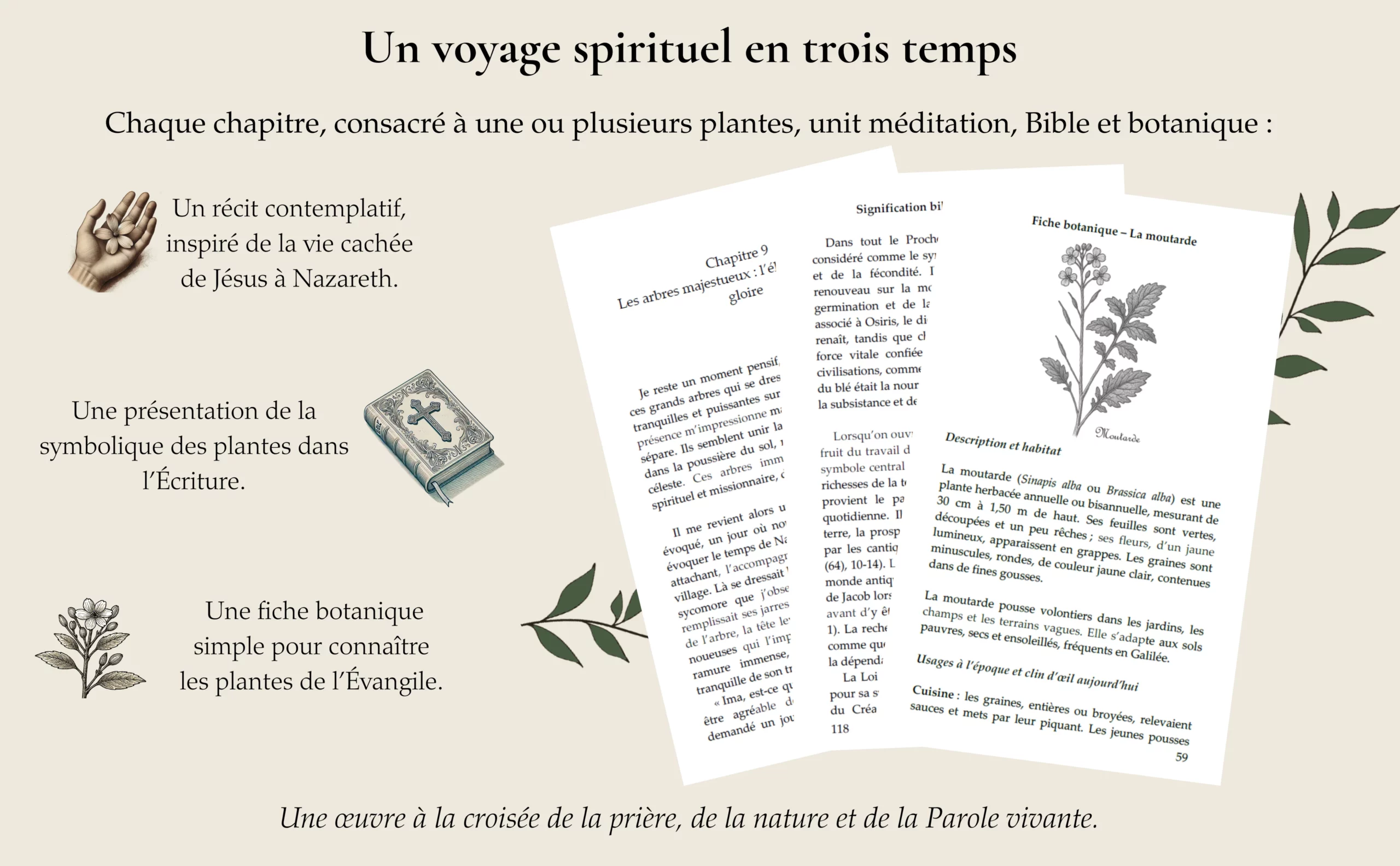 Présentation Le Jardin de Jésus